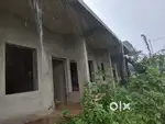 House with orchard plot