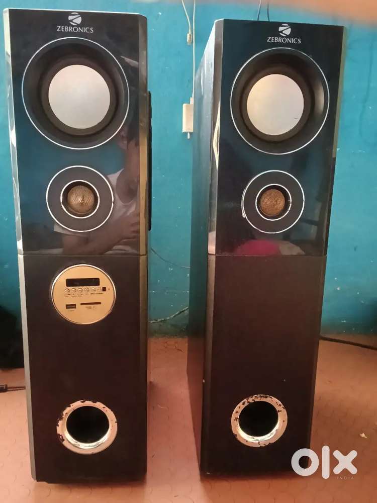 Zebronic Tower speaker