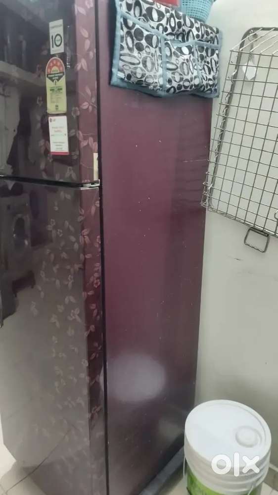 LG freeze double door