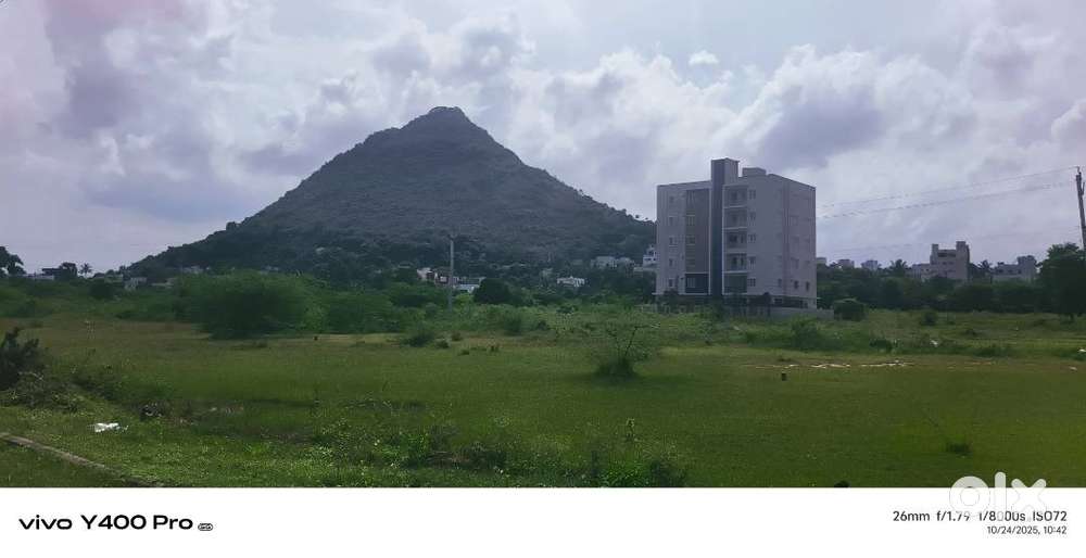 Perfect Homes for Families — Move In Ready