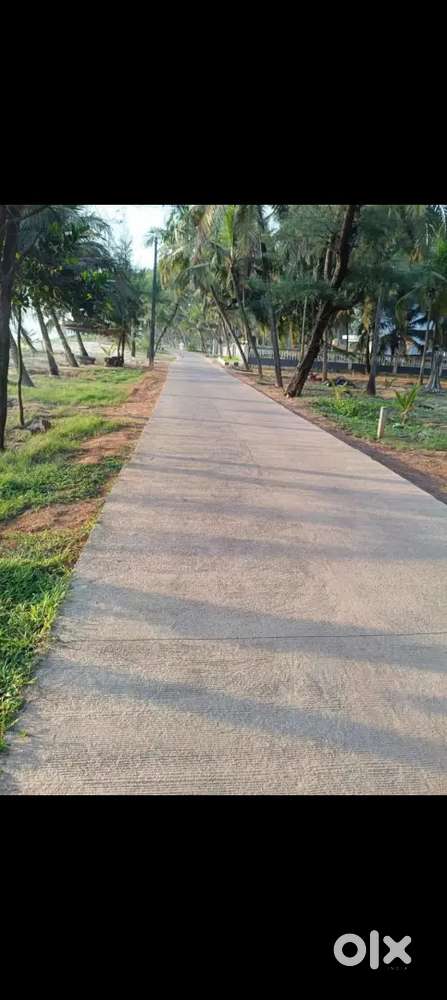 10 cents Land for Sale in Kadri Kambula Road