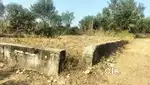 7 and 4 Marla  plot for sale in Thathar Bantalab