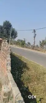 PLOT FOR SALE AT TRIKUTA NAGAR EXTENSION