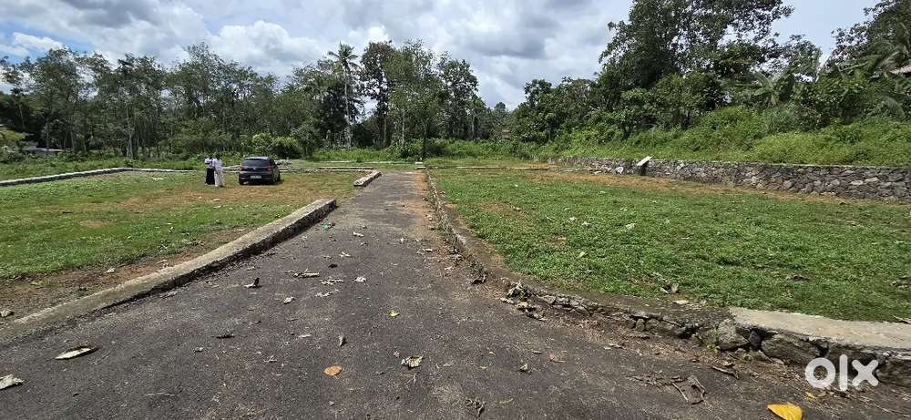T. K road Thekkemala Karamveli house plot for sale.