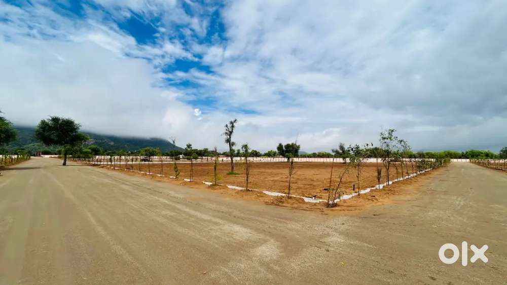 Mount Arena farm house sale