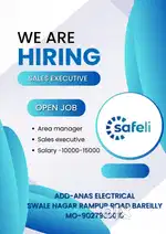 Sales executive