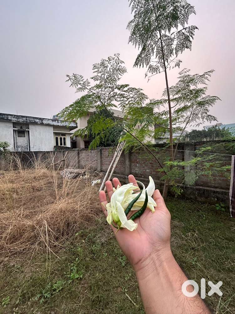 Plot in RPS MANSAROVAR NAGAR FOR RENT PURPOSE