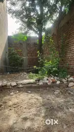 Land for shop
