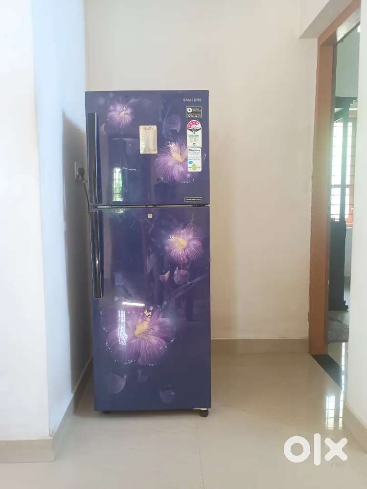 Samsung 253L Double Door Refrigerator(RT28M3954U3/HL)-For Repair/Parts