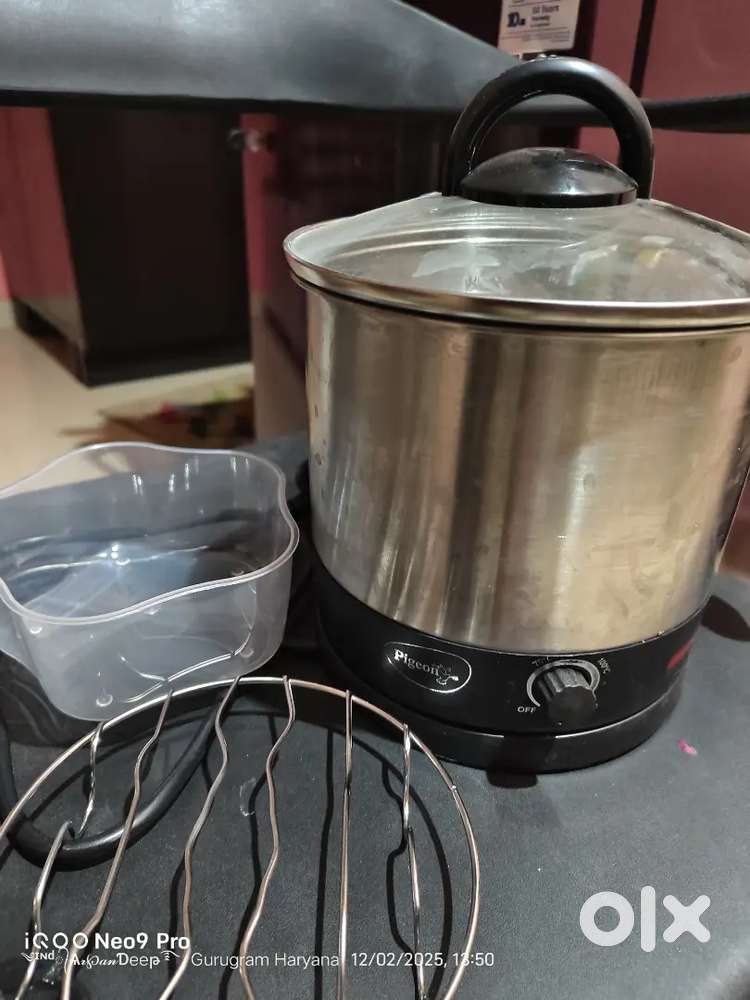 Electric Kettle Multipurpose