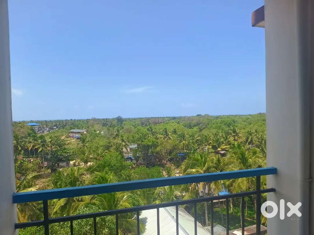 Male Flatmate Needed Flat sharing – 3BHK Apartment  room for rent