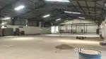 30000 sq.ft industrial shed for rent in dera Bassi