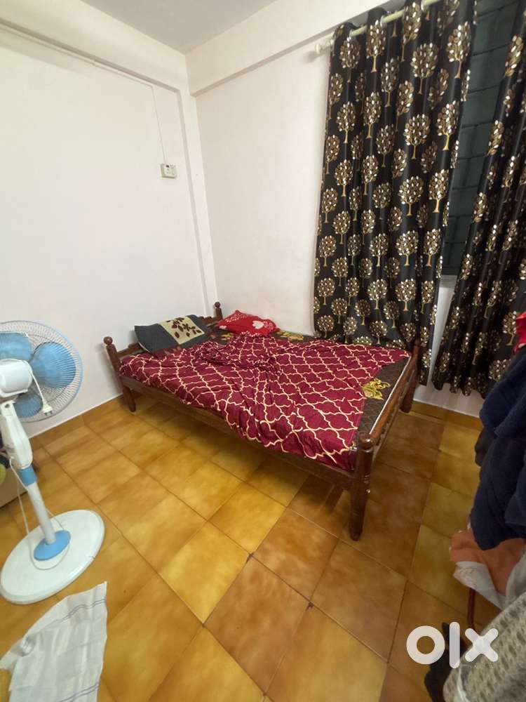 Female roommate wanted