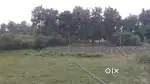 It's a 30 ft wide road plotting project