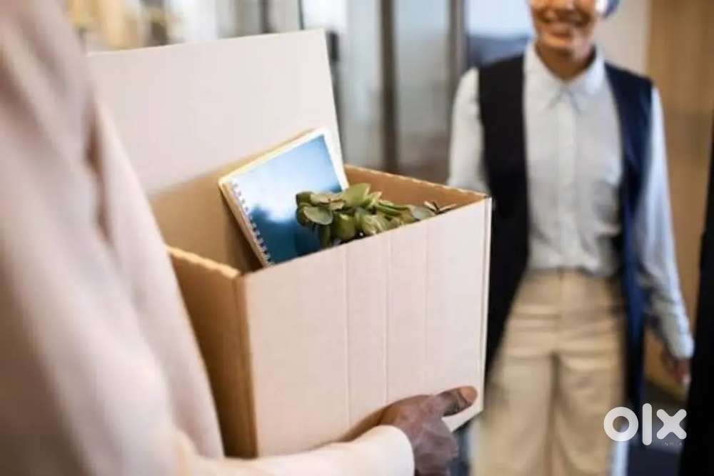 Hiring Department
 वेयरहाउस पैकिंग पैकिंग जॉब  Booy & Girl