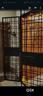 Fully Furnished Two bed room flat for sale