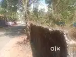 ചേർത്തല പുതിയകാവ് പടിഞ്ഞാറെ വശo thar road side 2.5 cent 7 llakh