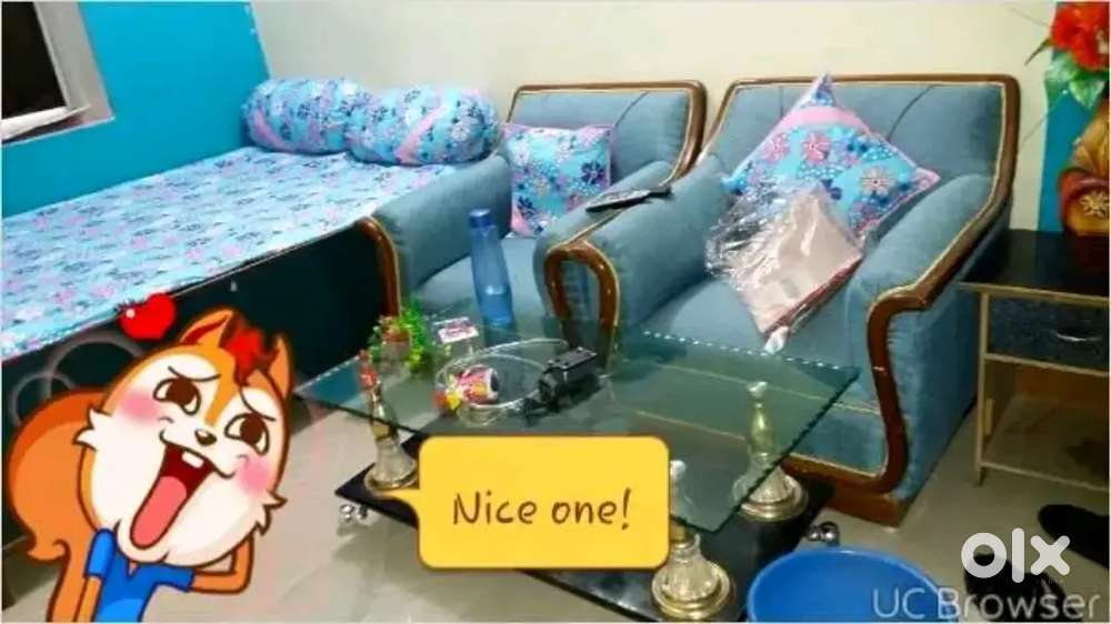 Want govt employee family or only girls