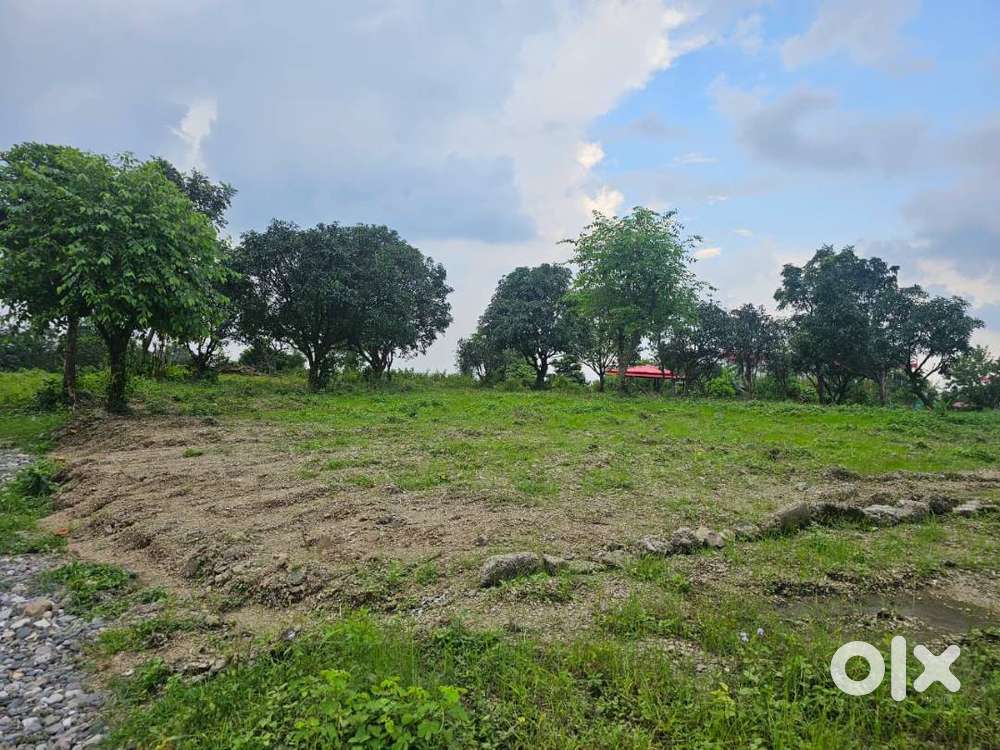 Residential & Investment Plot For Sale – Thano Hills, Dehradun