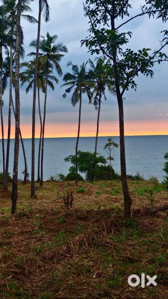 4.5 cent plot near mannanthala