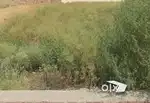 Residential cum commercial plot