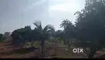 LAND SALE RAMANAGARA TO 11 KM DISTANCE MAIN ROAD ATTACHED OTHERS LAND