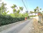 25 CENT ORGINAL LAND FOR SALE IN KAKKANAD NEAR THUTHIYOOR