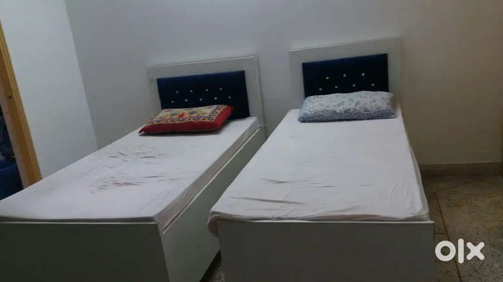 NO BROKERAGE 500+ Modern Boys PGs with meals & amenities in Noida!