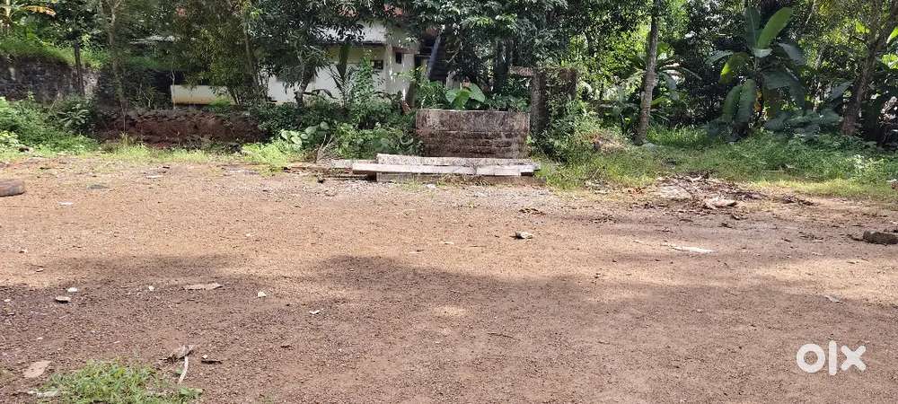 PLOT Rent കോവൂർ