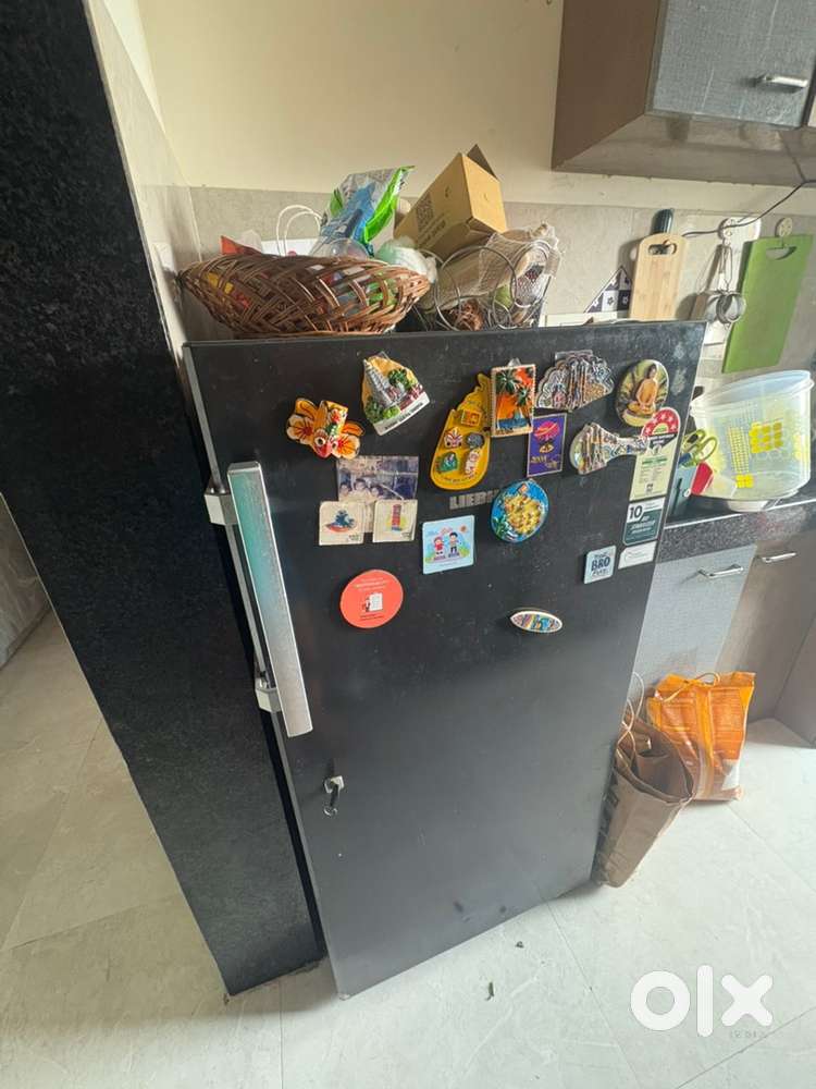 Liebherr Fridge (German Brand)