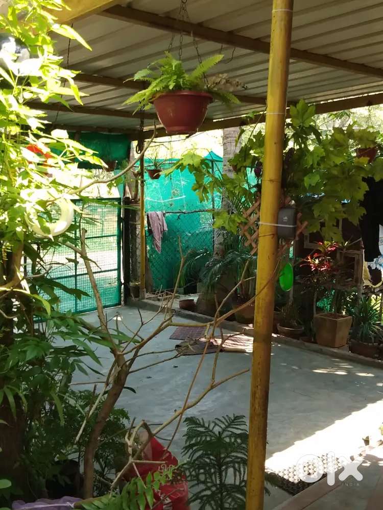 Individual House for rent at morai