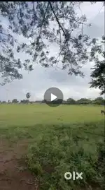 4.50 acres farm land for sale at Kinathukadavu, CBE to Pollachi road