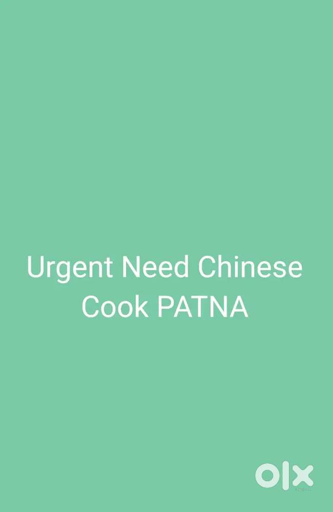 Urgent Need Chinese Cook