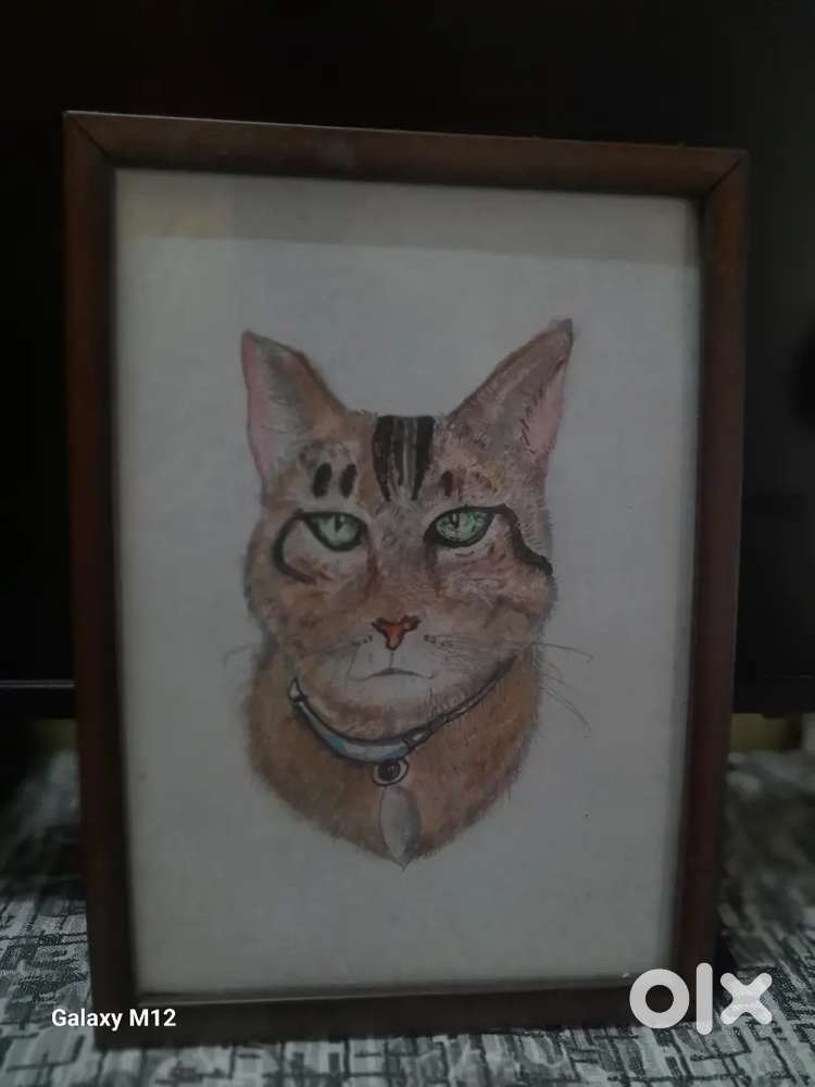 Cat with green eyes ... ( painting ,sketch , drawing ,pencil colours)