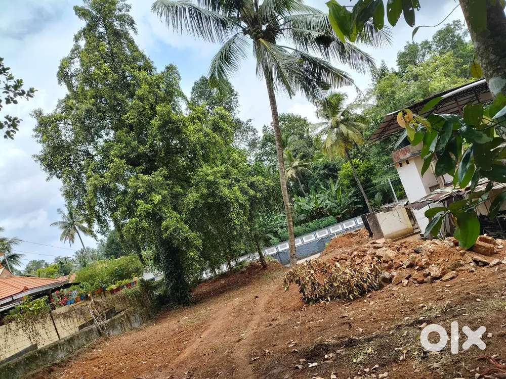 Premium House Plot inside Pathanamthitta town
