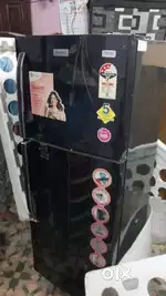 Electrolux double door fridge