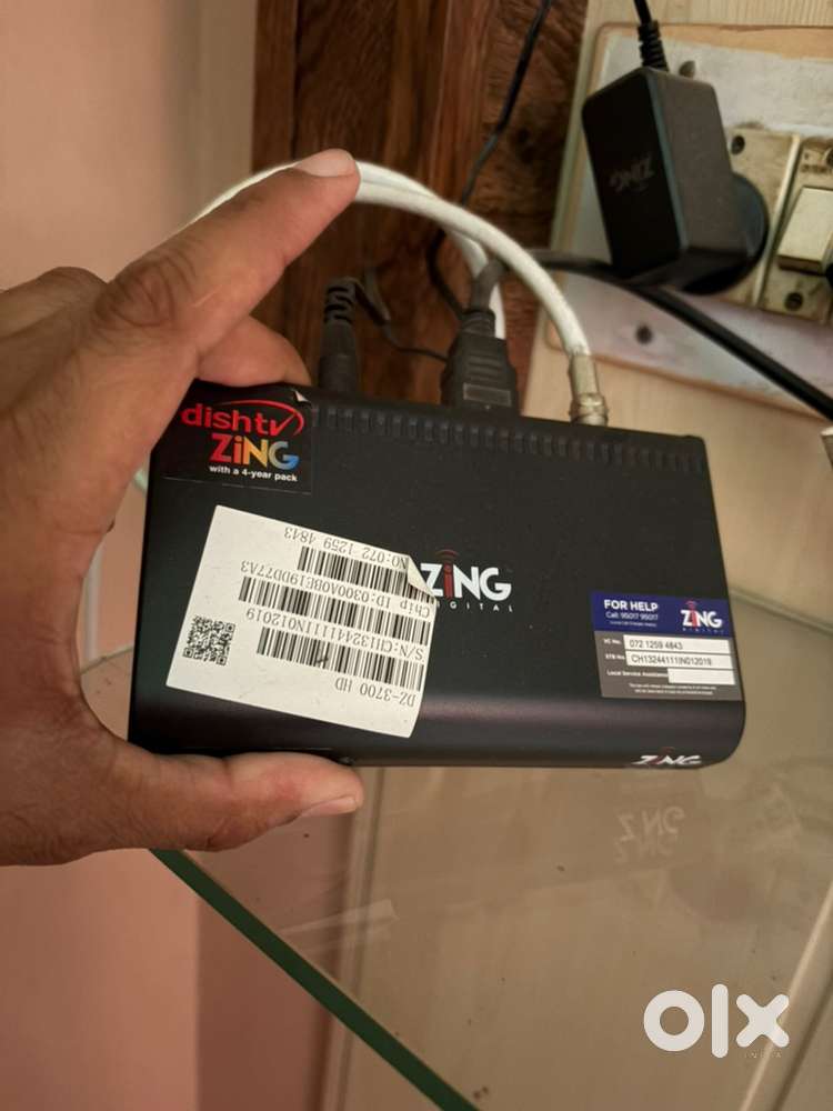 4year free punjabi channel zing dish tv