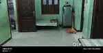 Home stays