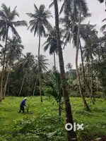 Plot in Pulivayal - Road Side