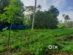 Selling a property