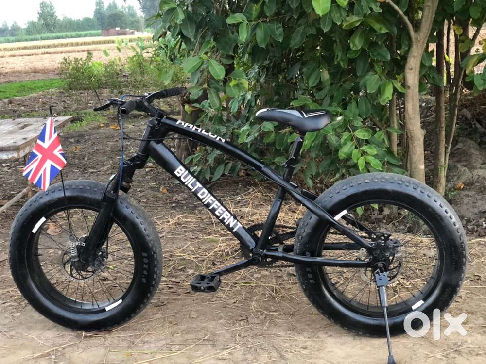 fat bike modified
