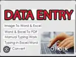 Data entry manual typing work private limited company