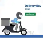 Delivery Boy Job