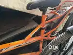 New cycle hai