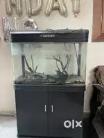 Sobo 300 l well maintained