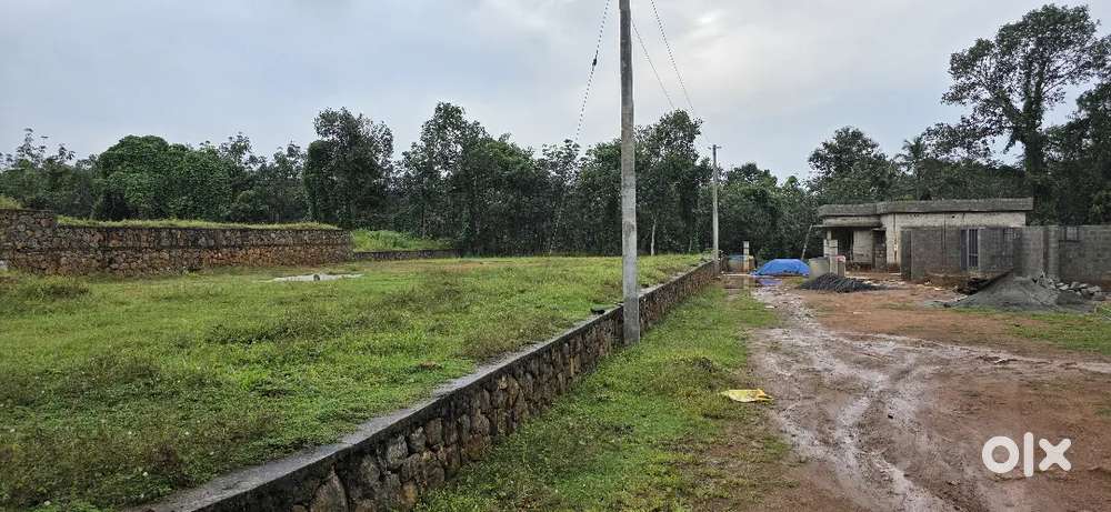 NEW HOUSE &PLOTS @ 1 LAKH/ CENT NEAR PALA