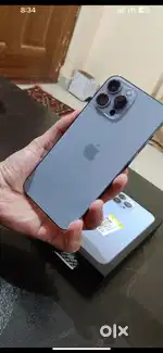 13 pro maxx