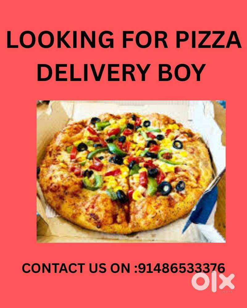 DOMINOS PIZZA DELIVERY EXPERT