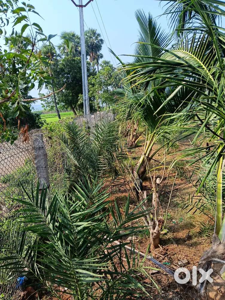 Patta land for sale road side bitt