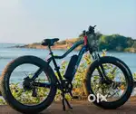 FAT BIKE ELECTRIC CYCLE
